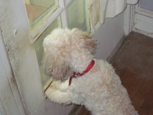 She sees the mailman