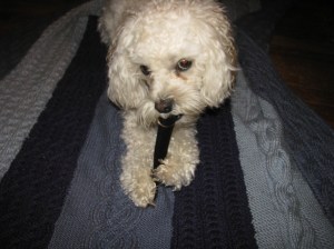 Sometimes she sneaks her sticks into the house.