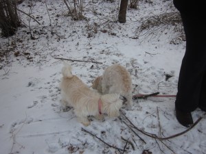 The girls inspire each other