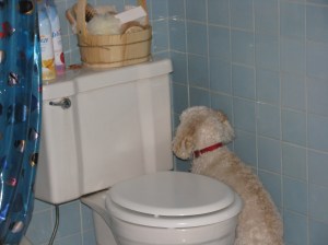 "There must be something good in here."