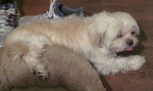 One Leg Hooked onto the Bed Pose