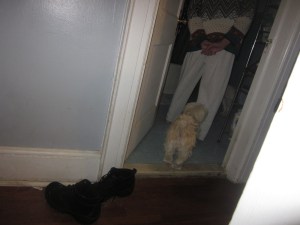 Butterfly and the people Bathroom