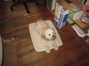 Always start with a stretch