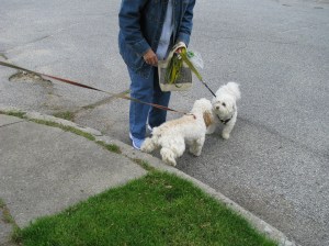 Nose kisses with Poochie