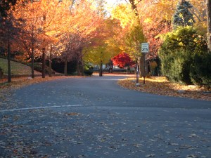 Autumn in the neighborhood