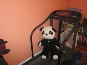 Panda, after plastic surgery, ready for physical therapy.