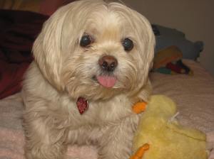 Butterfly, considering the mysteries of the universe