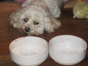 But Cricket is still the master