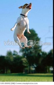 a serious case (not my picture)