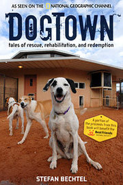 dogtown