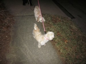 "is this a good place to pee?"