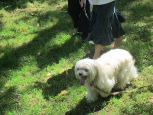 Walk number thirty two.