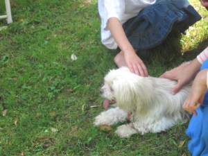 How many hands can fit on one Butterfly?