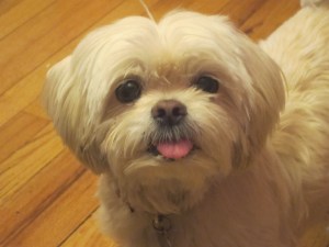 "Why am I on the floor?"