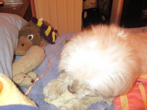 Chewing with an audience