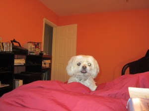 "What was that noise?"