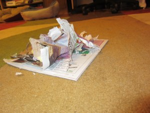 Pop-up book, by Butterfly