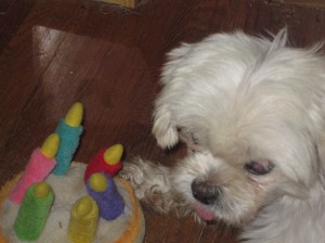 The almost birthday girl