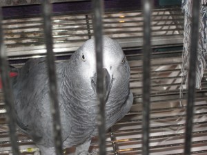 "Where do you think you're going?"