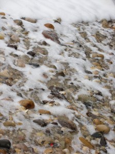 summer 2008 to winter 2009 077