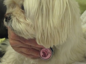 Butterfly's butterfly