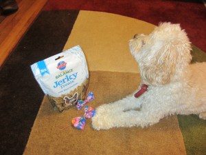 Cricket is guarding the treats