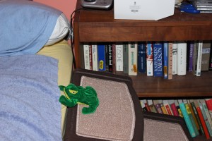 Froggy tried the steps first