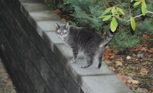 "I've got my eyes on you."