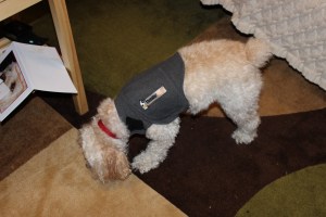 "My butt looks big in this shirt."