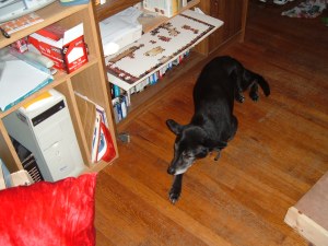 Dina guarding a puzzle