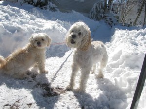 The sherriff and her deputy.