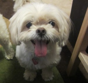 Butterfly has a lot to sing about!