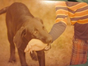 Samson, chewing on something more tasty
