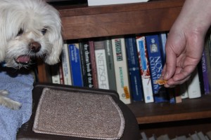 "Please don't make me go back down."