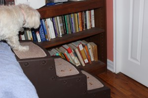 "What's the big deal?"