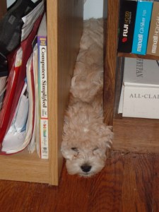 "Of course I can fit!"