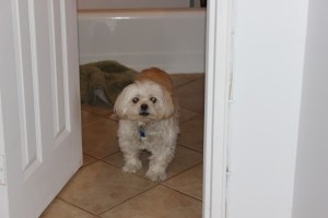 "This work is not yet ready for viewing, Mommy."