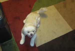 "You can pick me up now!"