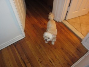 "Aren't you coming to the bus stop, Mommy?"