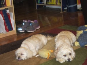 My girls, and Ducky too.