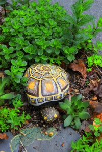 Turtle guards the garden.