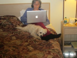 Cozy time for Cricket and Grandma.