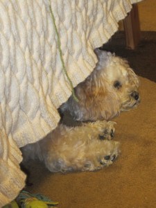 and in her apartment.