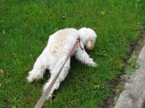 "I'm not choking. I don't know why you think I'm choking."