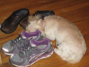 "If I dream about a walk, it will come."