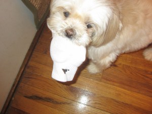 "I have Mommy's sock and that means I have Mommy."