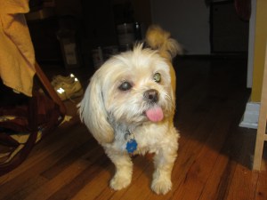 Butterfly showing her heart center, and her tongue.