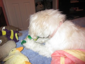 Butterfly adds her friends to the puppy pile.