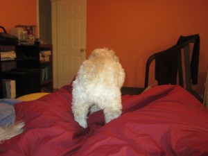 The crazy digger's butt.