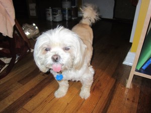 "Mommy, I don't feel good."